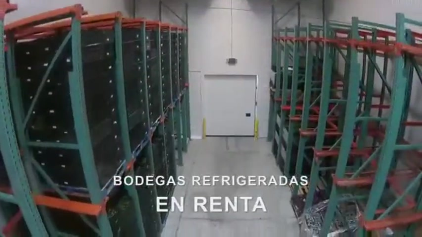 Protege la calidad de tus productos con nuestras bodegas refrigeradas en la Nueva Central de Abastos de San Antonio Texas