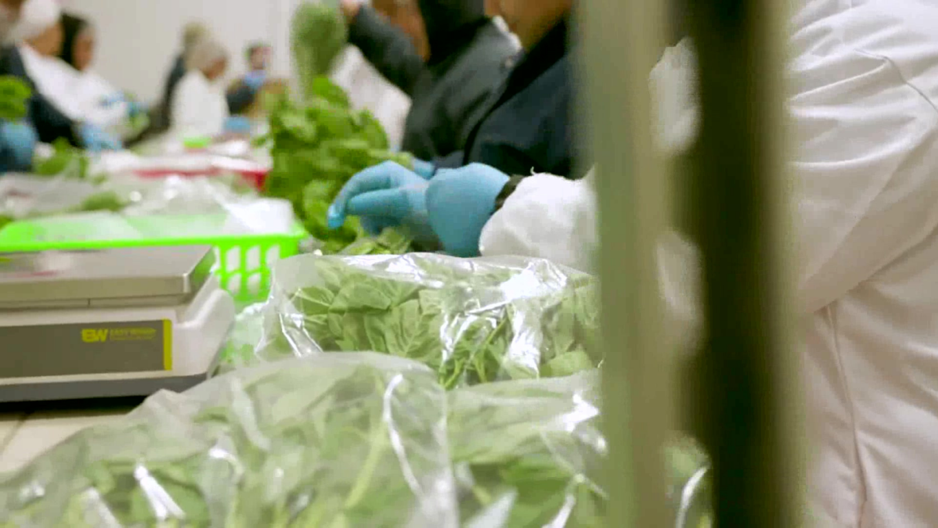 �Quieres un equipo de expertos que te asesore en la renta de tu bodega refrigerada en San Antonio Texas?
